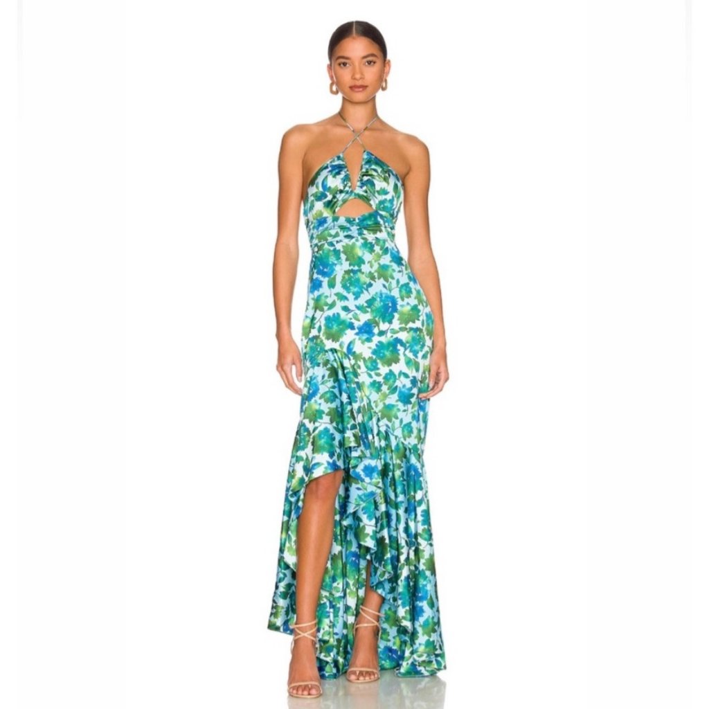 Nwt Amur Edie Maxi Dress, Size 4